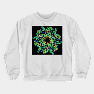 HIV-1 capsid in intact virus particle (F012/1041) Crewneck Sweatshirt